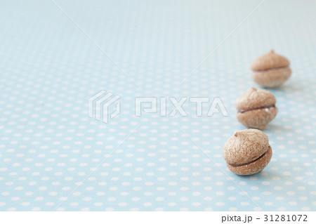 おうちでお菓子作り　チョコレートサンドウィッチクッキー 31281072