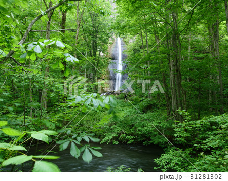 奥入瀬渓流の白布の滝 31281302