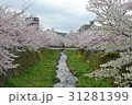 日本 ジャパン 日本国 31281399
