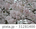 日本 ジャパン 日本国 31281400