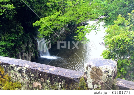 岩上橋から見る奥岳川 31281772