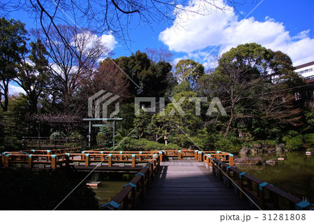 東郷神社　水交神社 鳥居 ＆ 神池　（ 東京都 渋谷区 神宮前 ） 31281808
