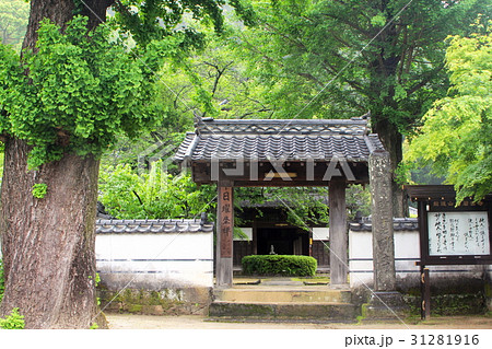 碧雲寺の山門 31281916