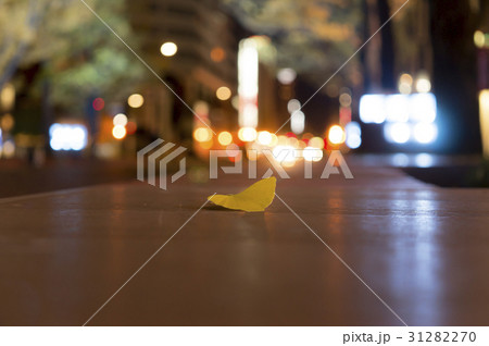 冬の始まり 31282270