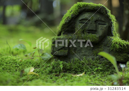 苔むす地蔵 31283514