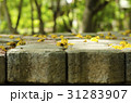 flowers on the brick block background tree blurred 31283907