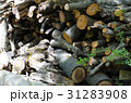 The tree was cut together 31283908