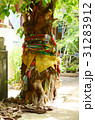 Believing in Spirit of Thailand Banyan tree 31283912