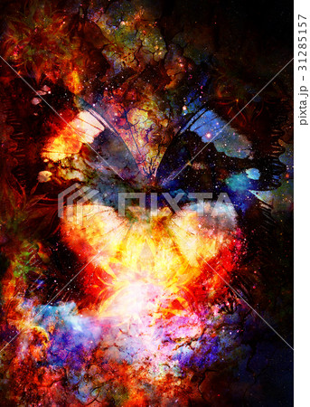 butterfly and ornamental mandala in cosmic space 31285157
