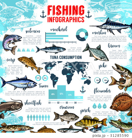 Vector infographics for fishing and fish seafood Vector infographics for fishing and fish seafood 31285590