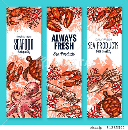 Vector seafood and fish food product banners Vector seafood and fish food product banners 31285592