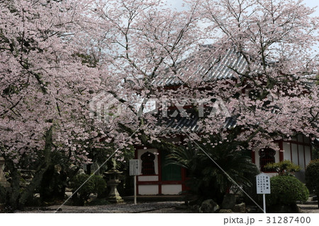 粉河寺 31287400