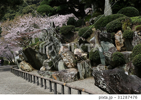 粉河寺庭園 粉河寺庭園 31287476