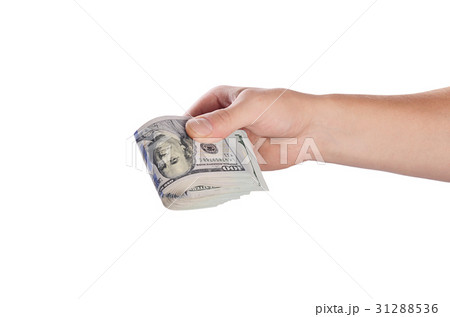 Dollars in man hand isolated on white background 31288536