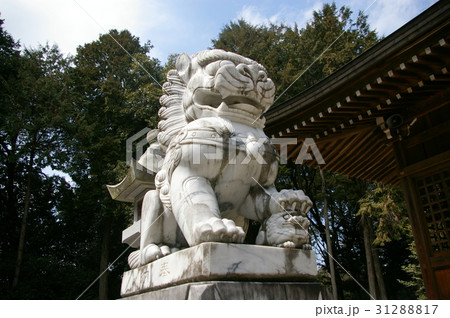 岐阜県美濃加茂市蜂屋天神神社の狛犬 31288817