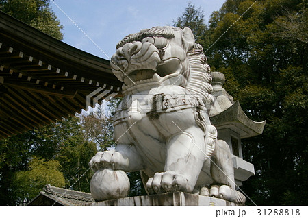 岐阜県美濃加茂市蜂屋天神神社の狛犬 31288818