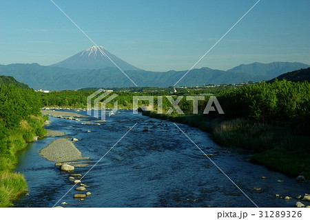初夏の富士山 31289326