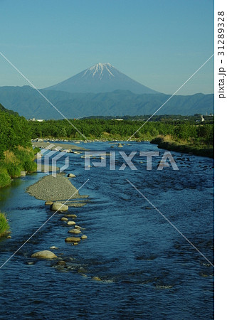 初夏の富士山 31289328