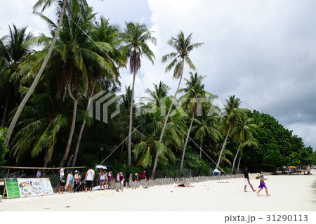 ボラカイ島 ボラカイ 日 31290113