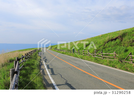 新緑の阿蘇パノラマライン　坊中線　牧場沿いを走るドライブコース 31290258