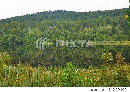 Mirror lake reflection 31290495