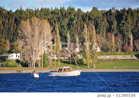 Yachting in Queenstown 31290536