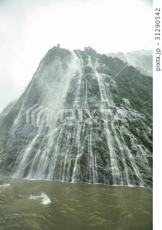 Rain in Milford Sound, New Zealand Rain in Milford Sound, New Zealand 31290542