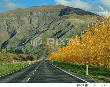 Road trip in New Zealand 31290549