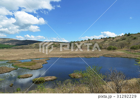八島湿原 長野県霧ヶ峰高原 八島湿原 長野県霧ヶ峰高原 31292229