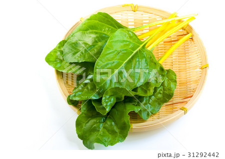 ビエトラトリコローレ・ジャッロ ビエトラトリコローレ・ジャッロ 31292442