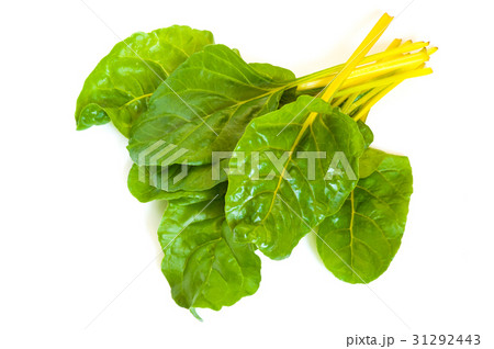 ビエトラトリコローレ・ジャッロ ビエトラトリコローレ・ジャッロ 31292443