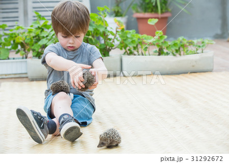Little boy playing with hedgehog 31292672