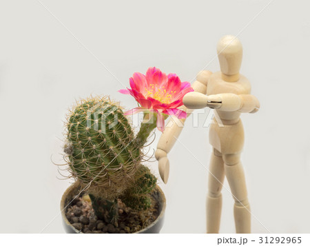 The puppets are taking care of the red flowers. The puppets are taking care of the red flowers. 31292965