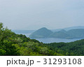 view from above mountain:sea,hill,volcano far away 31293108