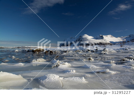 Frozen Fjord near Leknes, Lofoten, Norway Frozen Fjord near Leknes, Lofoten, Norway 31295227