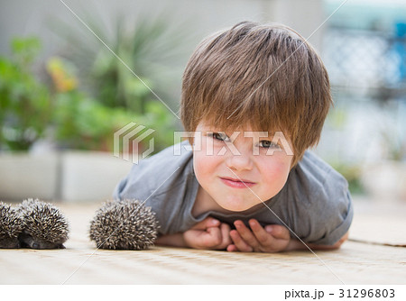 Little boy playing with hedgehog Little boy playing with hedgehog 31296803