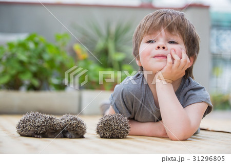 Little boy playing with hedgehog 31296805