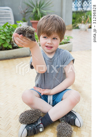 Little boy playing with hedgehog 31296828