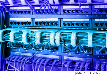Network panel, switch and internet cable Network panel, switch and internet cable 31297269