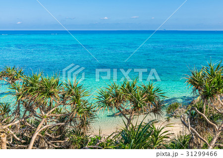 沖縄の海 沖縄の海 31299466