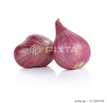 ripe onions isolated on a white background 31300308