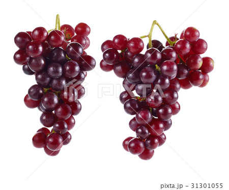 grape isolated on white background grape isolated on white background 31301055