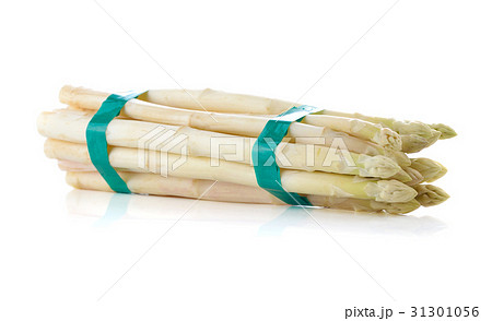 bundle of fresh white asparagus spears bundle of fresh white asparagus spears 31301056
