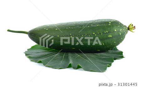 fresh loofah on the white background 31301445