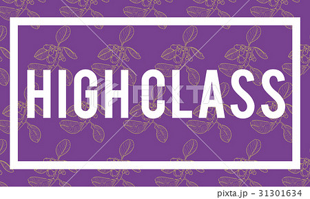 High Class Luxury Premier Special Exclusive 31301634
