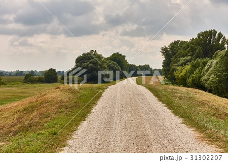 Dirtroad through on a dike 31302207