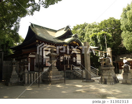 阿遅速雄神社本殿 31302313