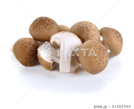 Brown beech mushrooms, Shimeji mushroom 31302344