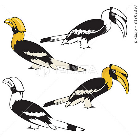 bird 31302397