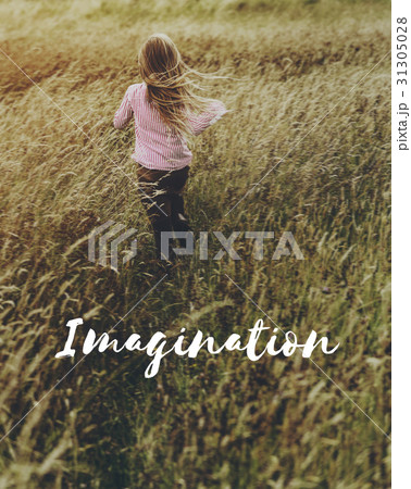Imagination Ideas Creativity Fantasy Vision Imagination Ideas Creativity Fantasy Vision 31305028
